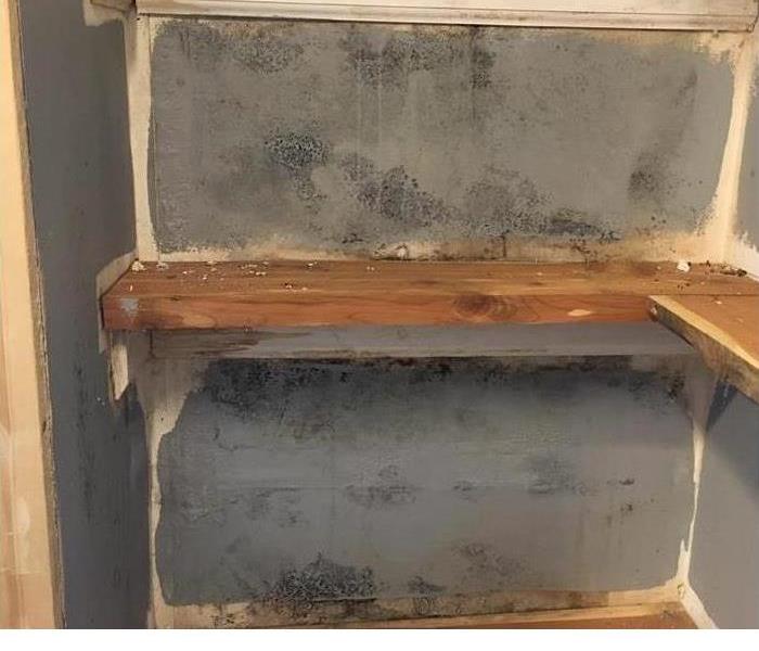 mold covered walls with shelving 